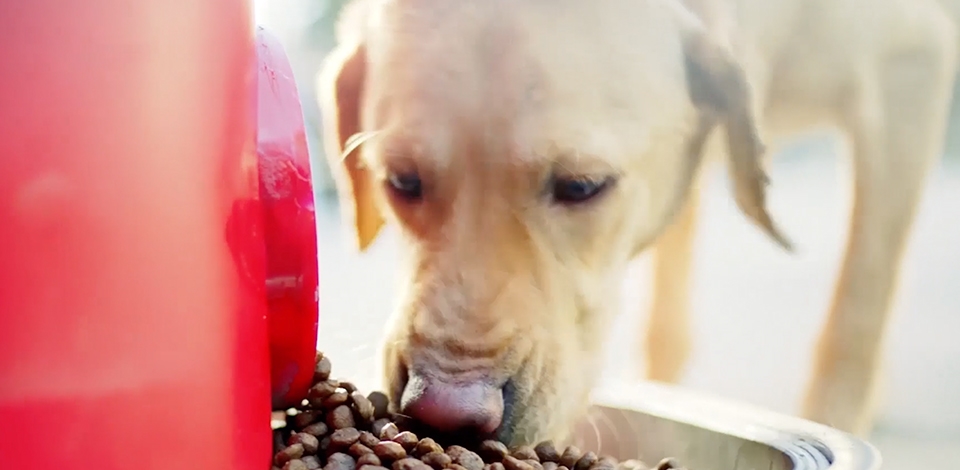 Vodafone -  #BUMAMABENDEN